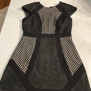 Cameo black and Tan with Mesh Detail Mini Dress Medium